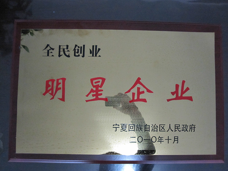 自治區(qū)創(chuàng)業(yè)明星企業(yè)