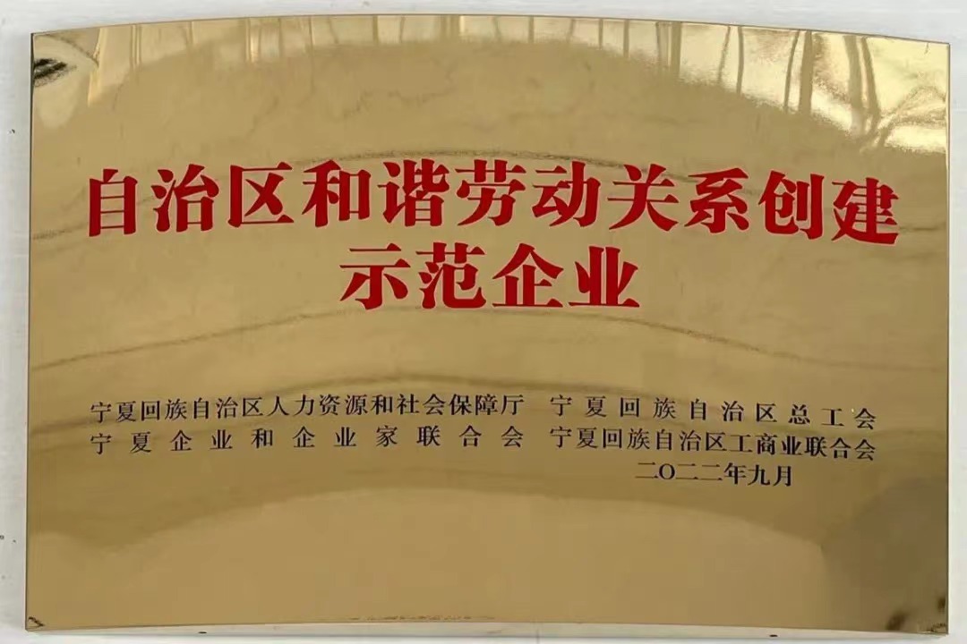 自治區(qū)和諧勞動(dòng)關(guān)系創(chuàng)建示范企業(yè)